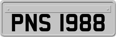 PNS1988