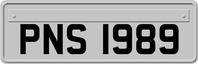 PNS1989