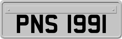 PNS1991