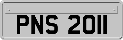 PNS2011