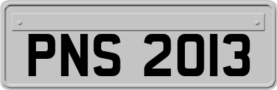 PNS2013