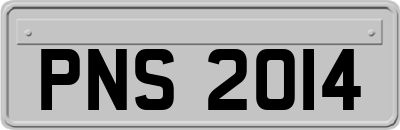 PNS2014