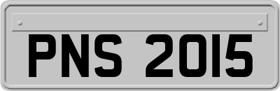 PNS2015