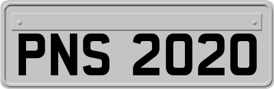 PNS2020