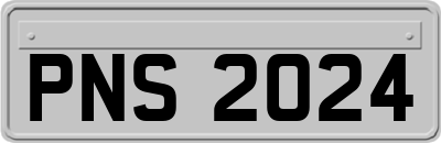 PNS2024