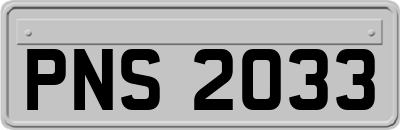PNS2033