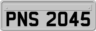PNS2045