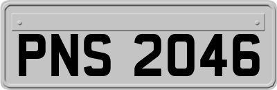 PNS2046