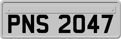 PNS2047