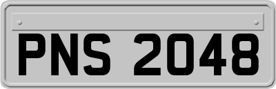 PNS2048
