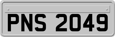 PNS2049