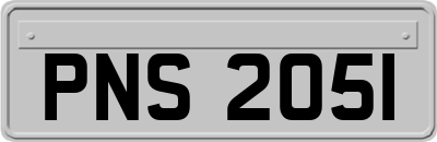PNS2051