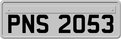 PNS2053