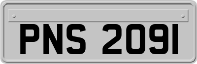 PNS2091