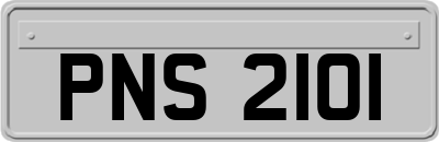 PNS2101