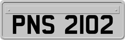 PNS2102