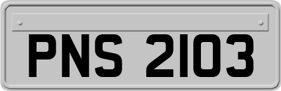 PNS2103