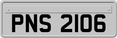PNS2106