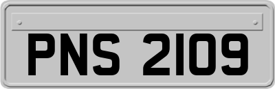 PNS2109