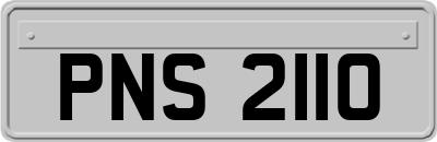 PNS2110