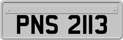 PNS2113