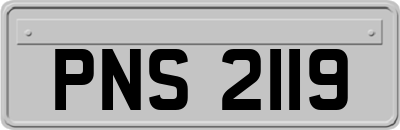 PNS2119