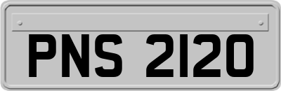 PNS2120