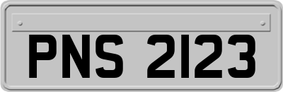 PNS2123