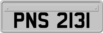 PNS2131