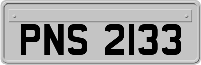 PNS2133