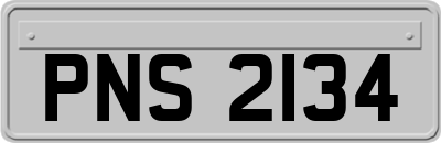 PNS2134