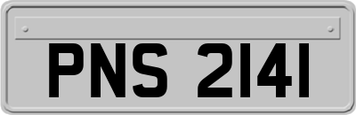 PNS2141