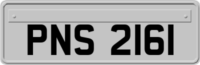 PNS2161