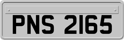 PNS2165