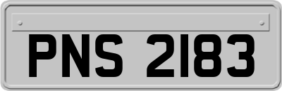 PNS2183