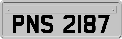 PNS2187