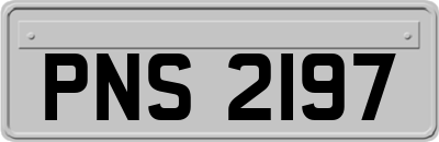 PNS2197