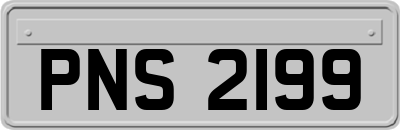 PNS2199