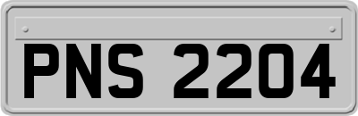 PNS2204