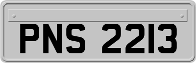 PNS2213