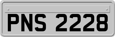PNS2228