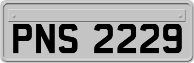 PNS2229