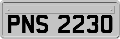 PNS2230