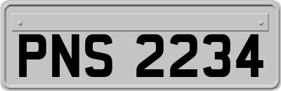 PNS2234