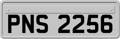 PNS2256