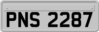 PNS2287