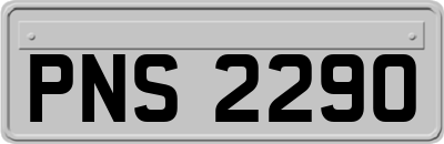 PNS2290