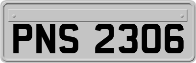 PNS2306