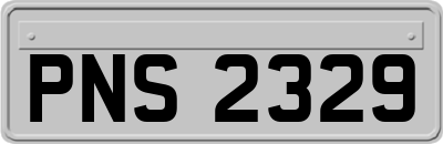 PNS2329