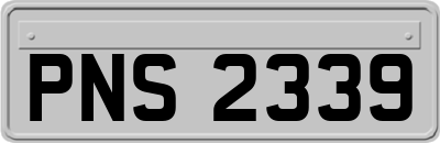PNS2339